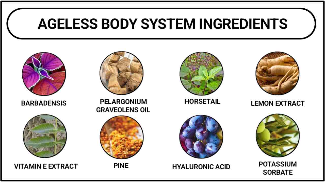 Ageless Body System Ingredients