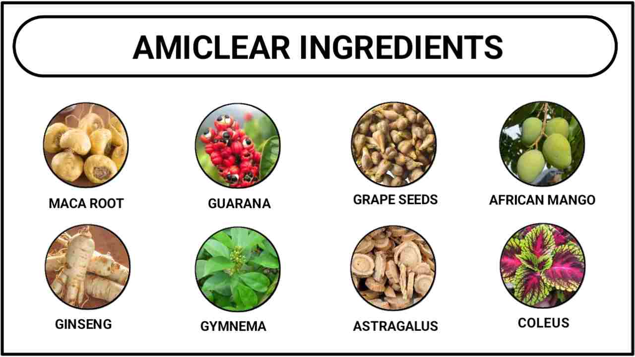 Ingredients of Amiclear