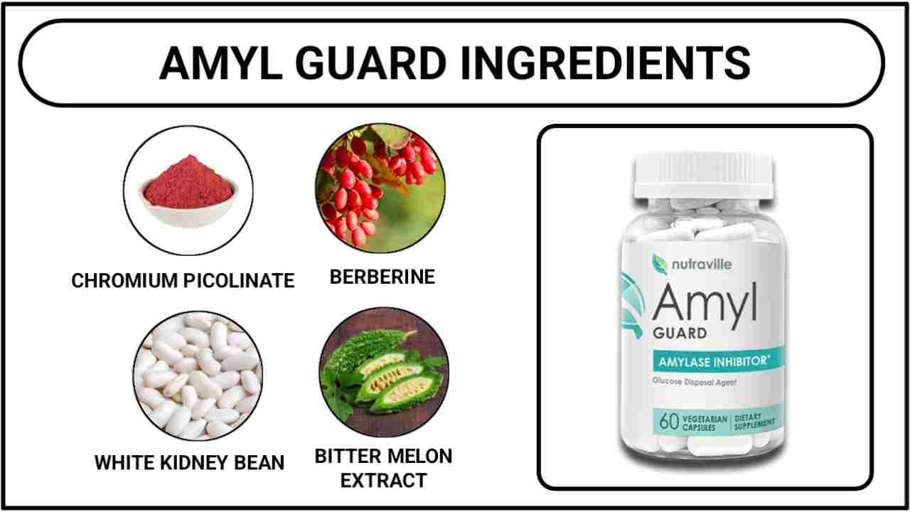 Amyl Guard Ingredients
