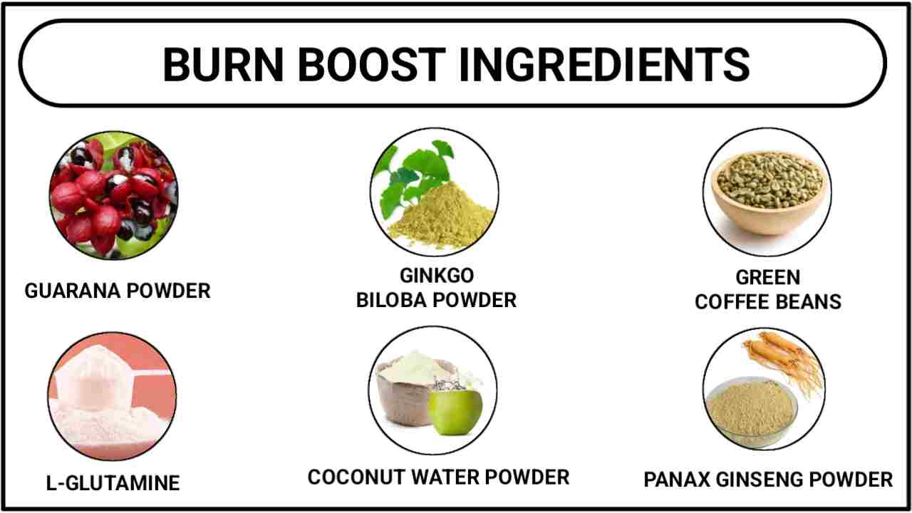 Burn Boost Ingredients