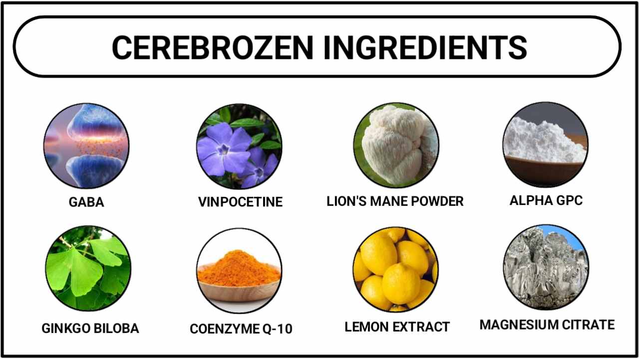 CerebroZen Ingredients