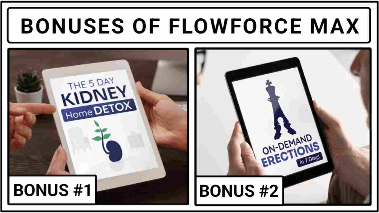 bonuses of flowforce max