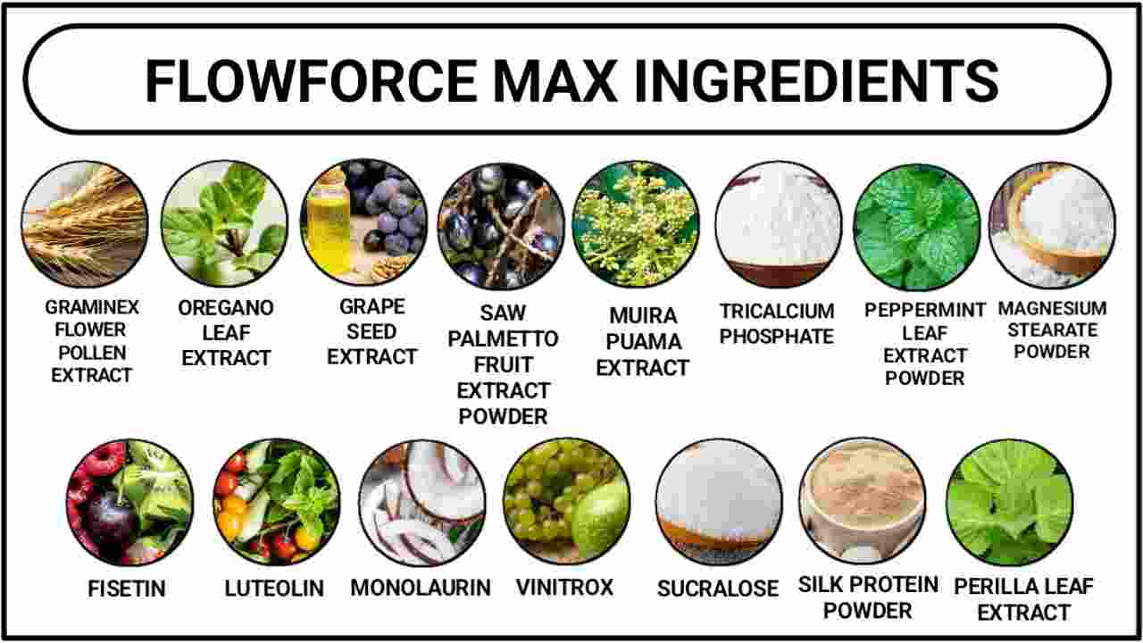 ingredients of flowforce max