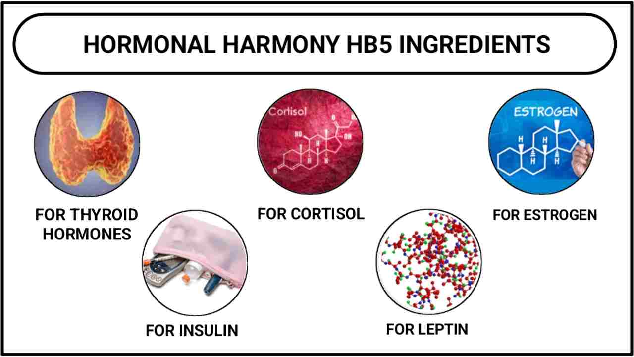 Hormonal Harmony HB5 Ingredients