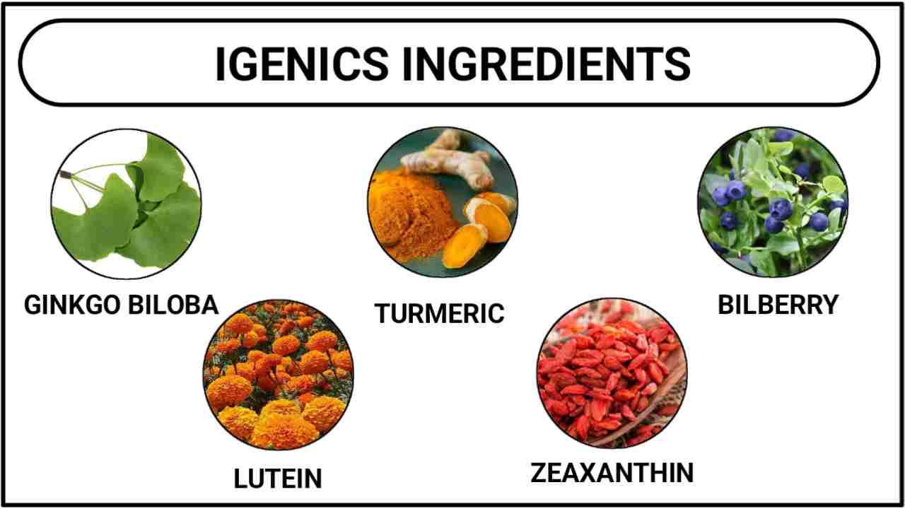 IGenics Ingredients