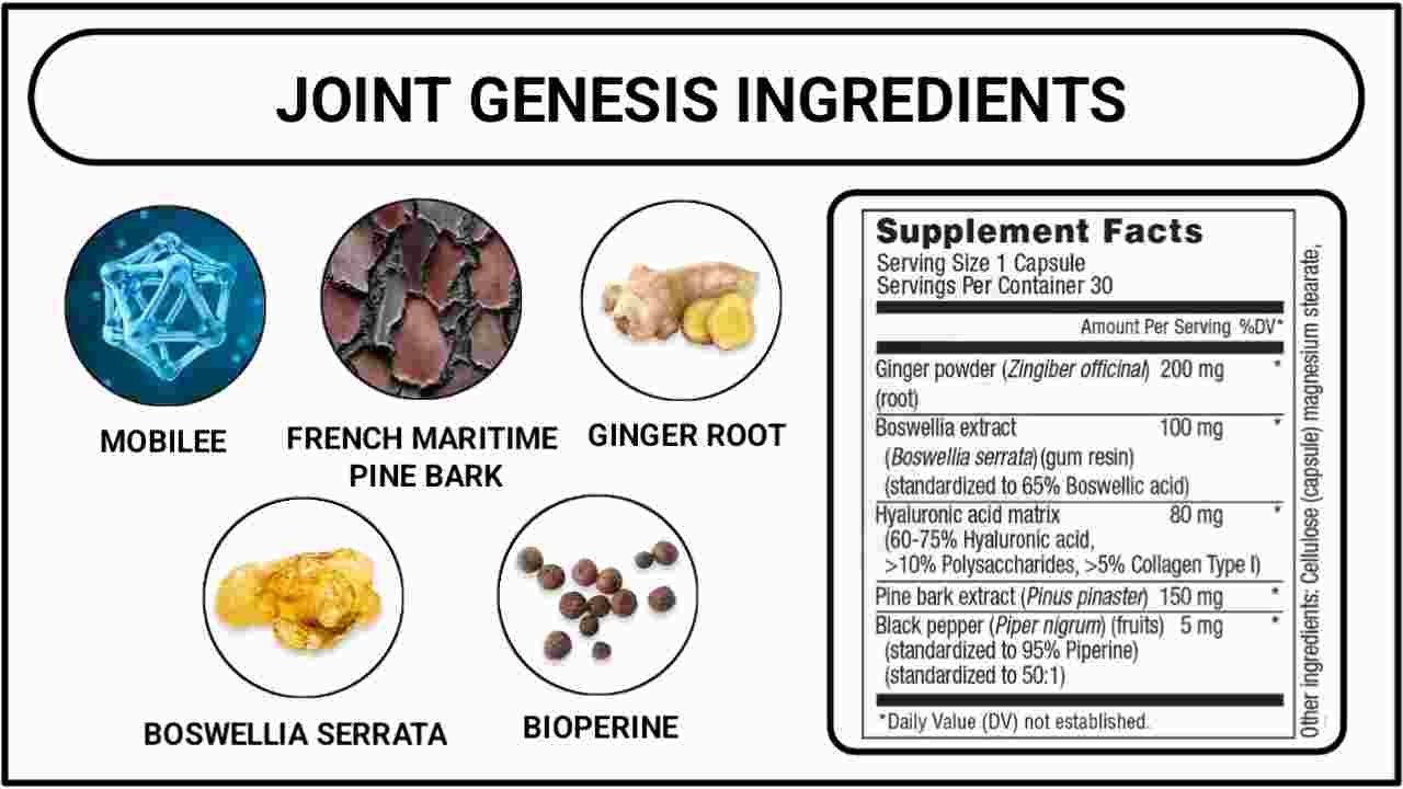 Ingredients of Joint Genesis