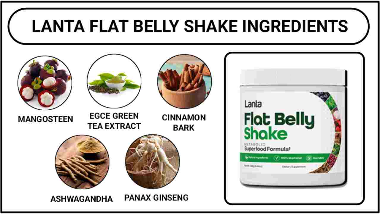 Lanta Flat Belly Shake Ingredients