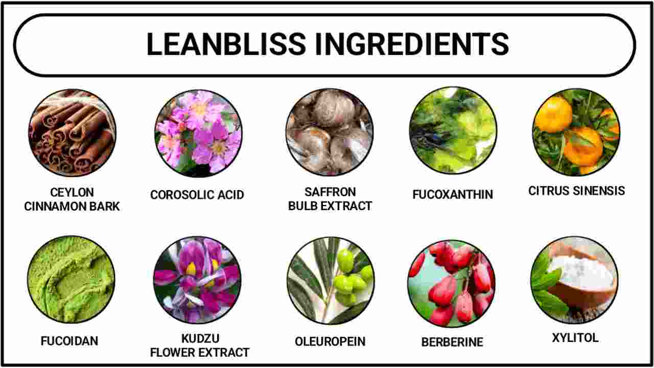 LeanBliss Ingredients