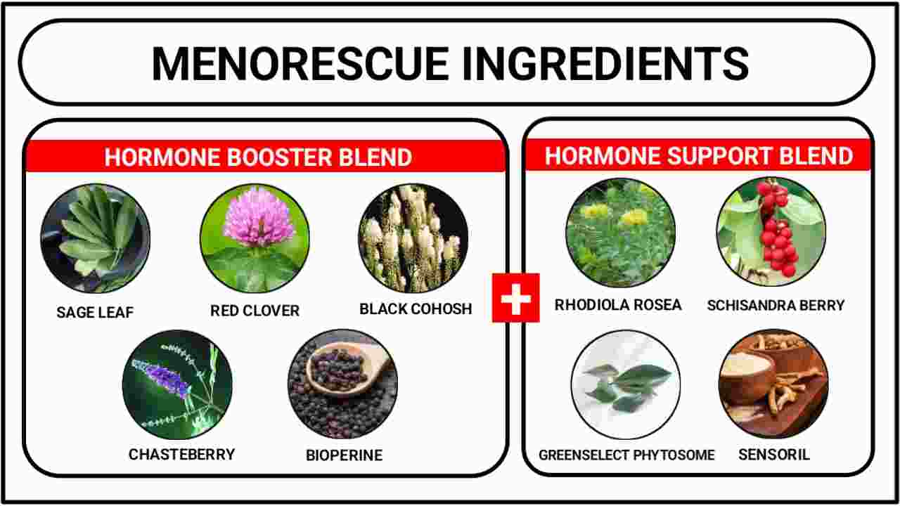 MenoRescue Ingredients