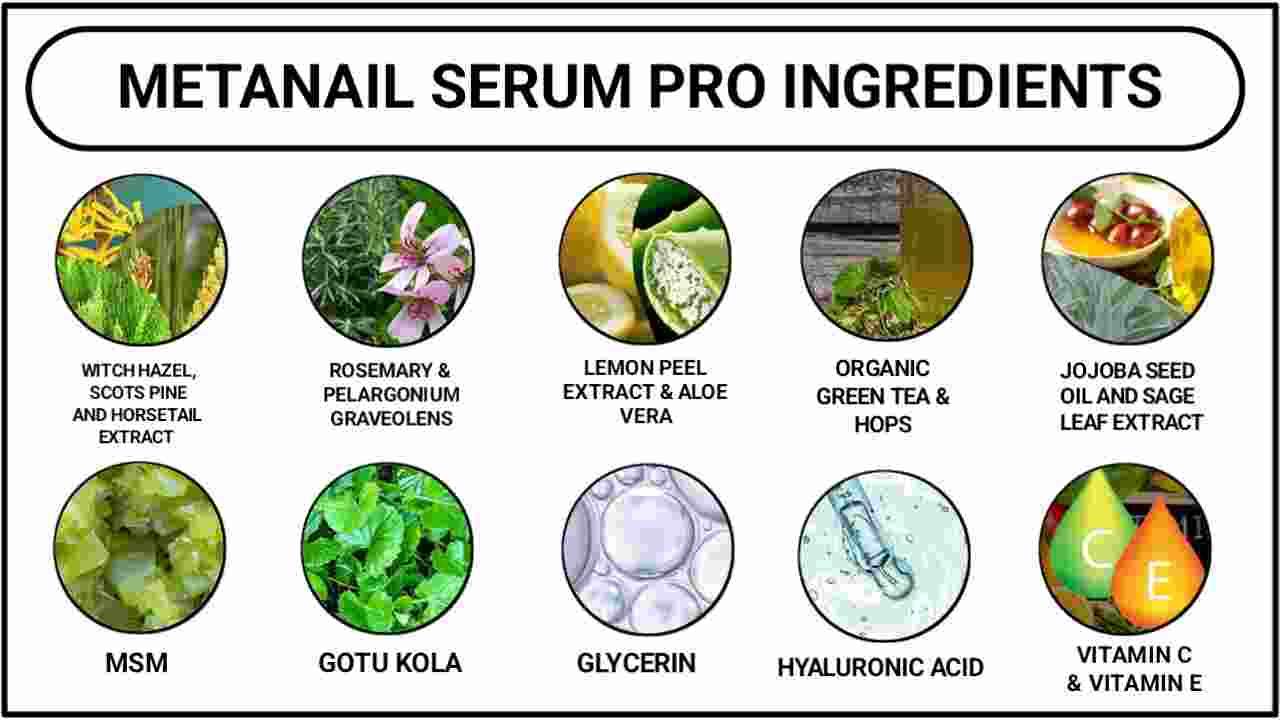 ingredients of metanail serum pro