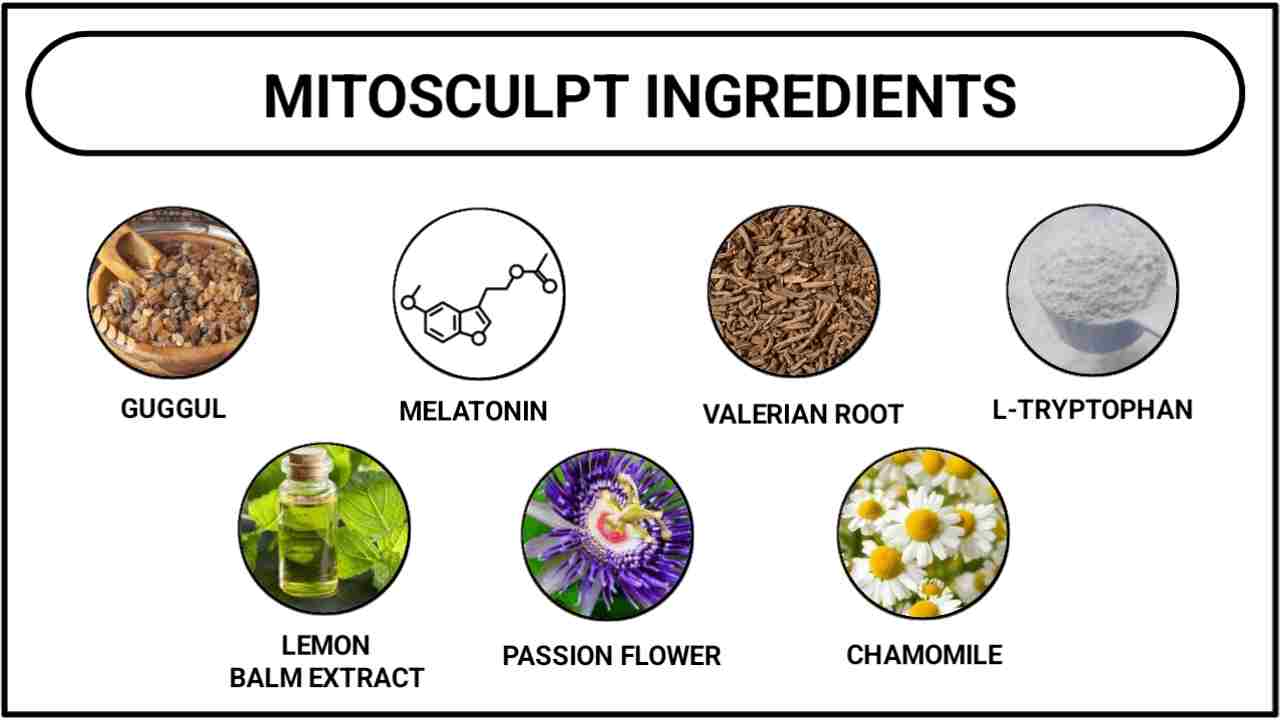 MitoSculpt Ingredients