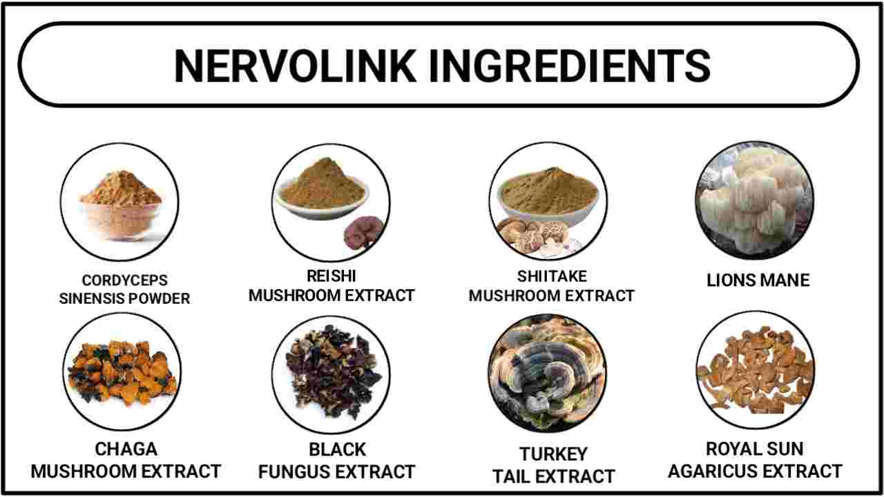 Nervolink Ingredients