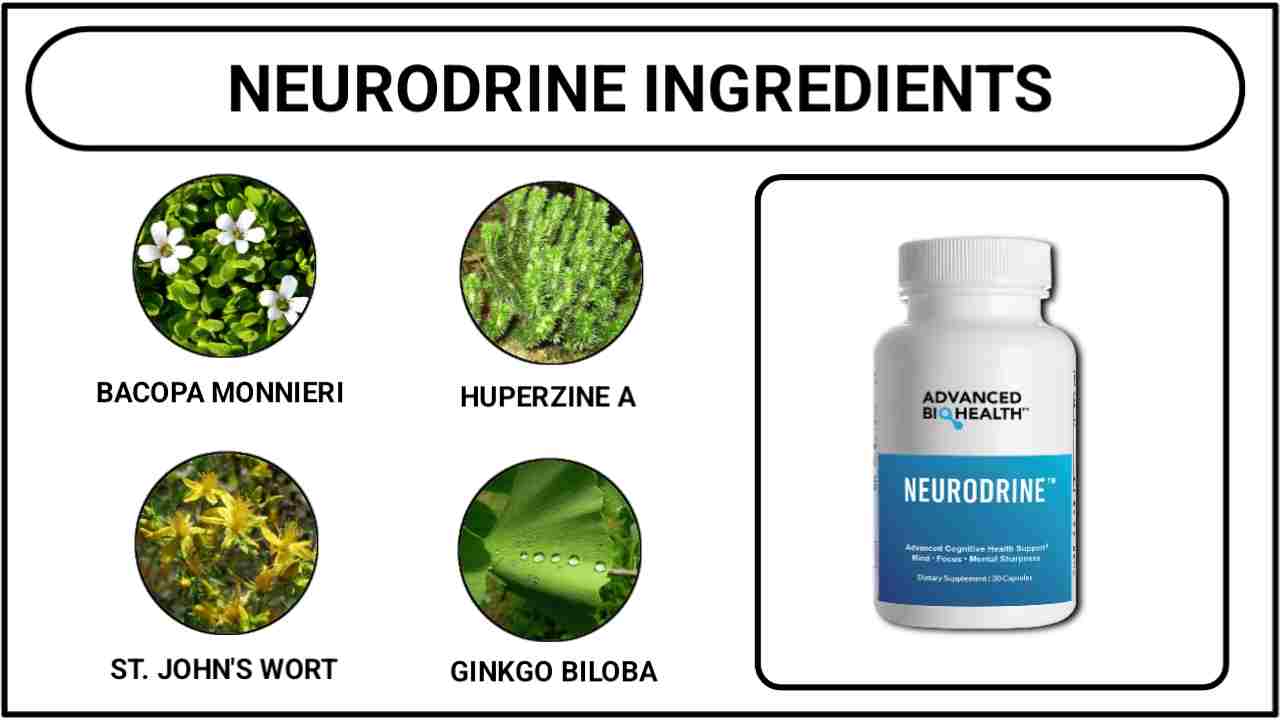 NeuroDrine Ingredients