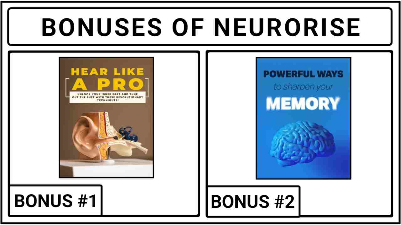 NeuroRise Bonuses