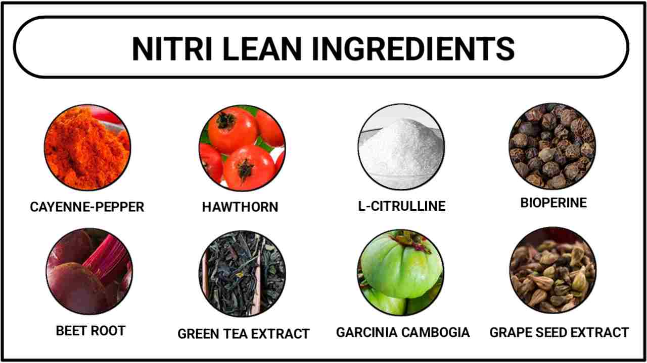 Nitrilean Ingredients