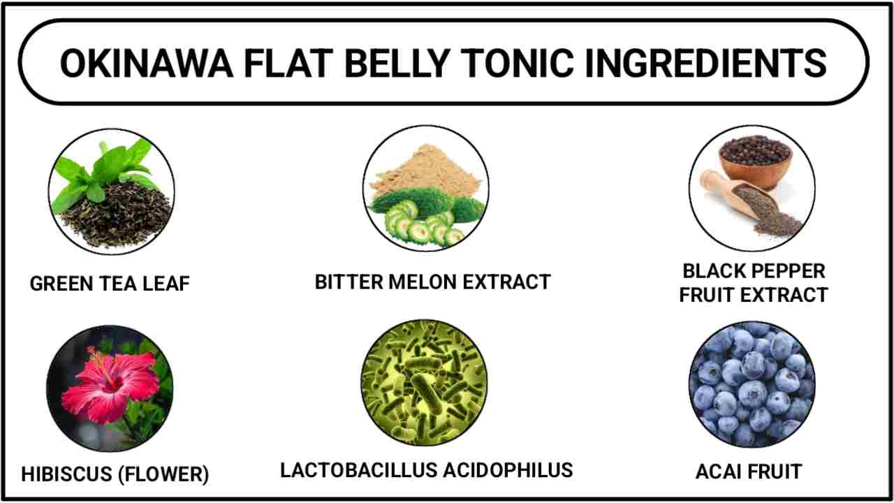Okinawa Flat Belly Tonic Ingredients