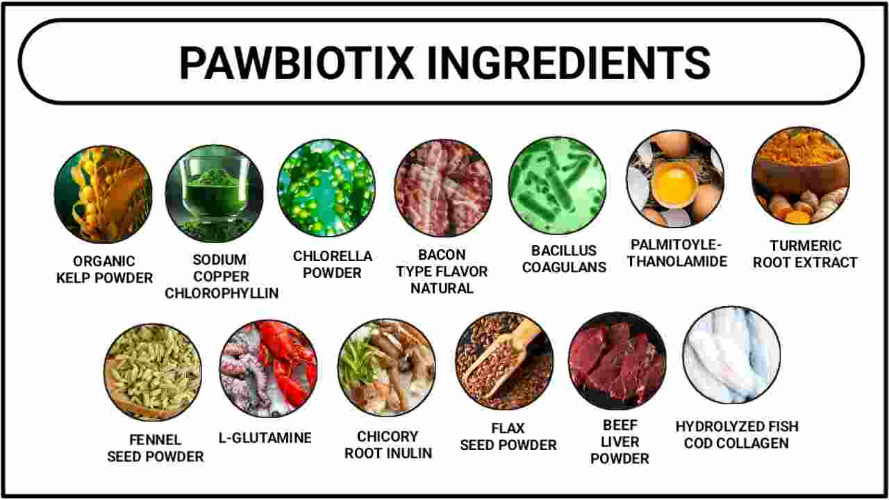 PawBiotix Ingredients