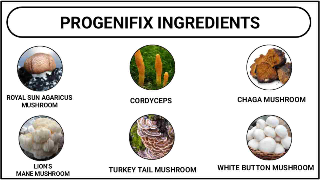 ProGeniFix Ingredients