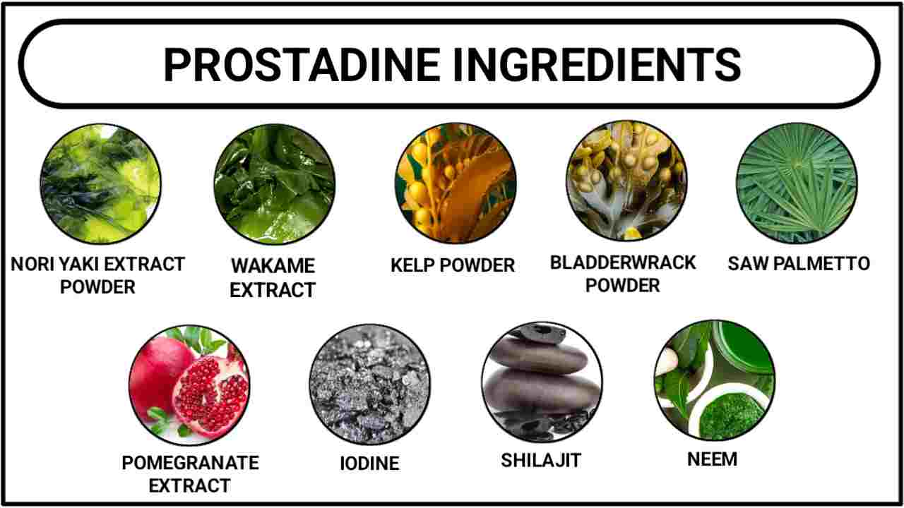 Ingredients of Prostadine