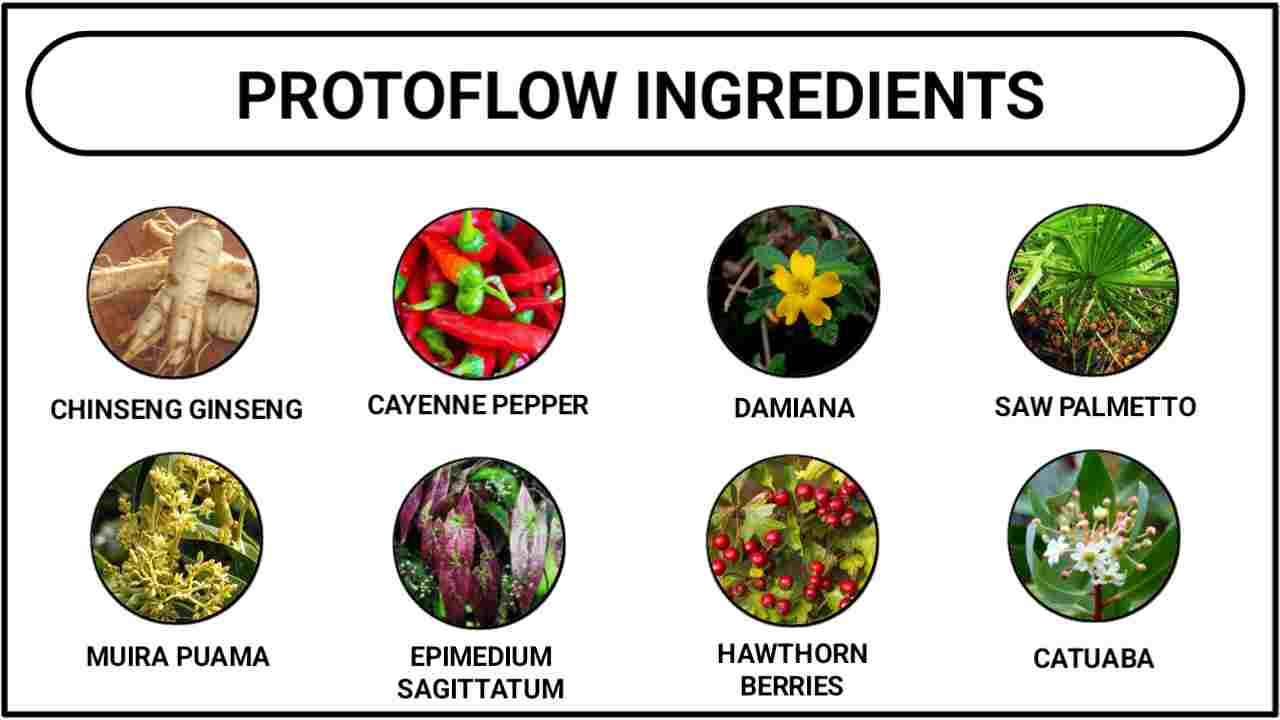 ProtoFlow Ingredients