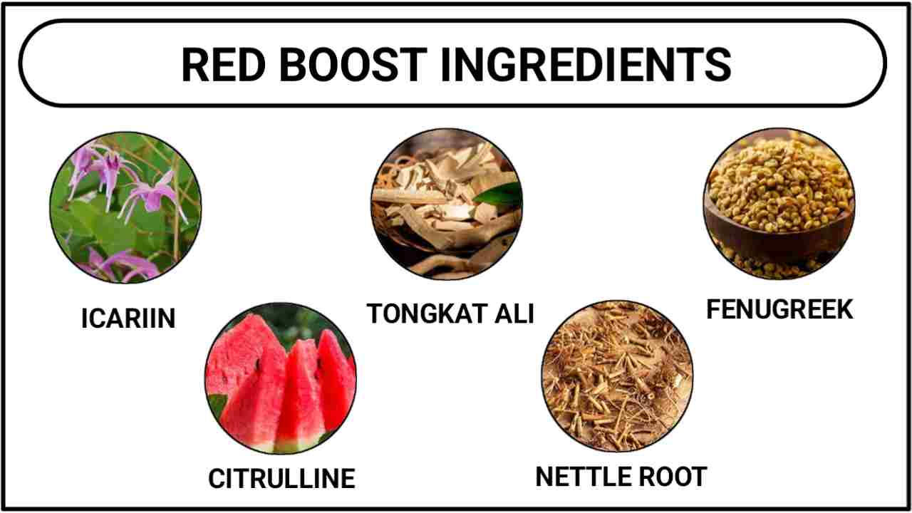 ingredients of red boost