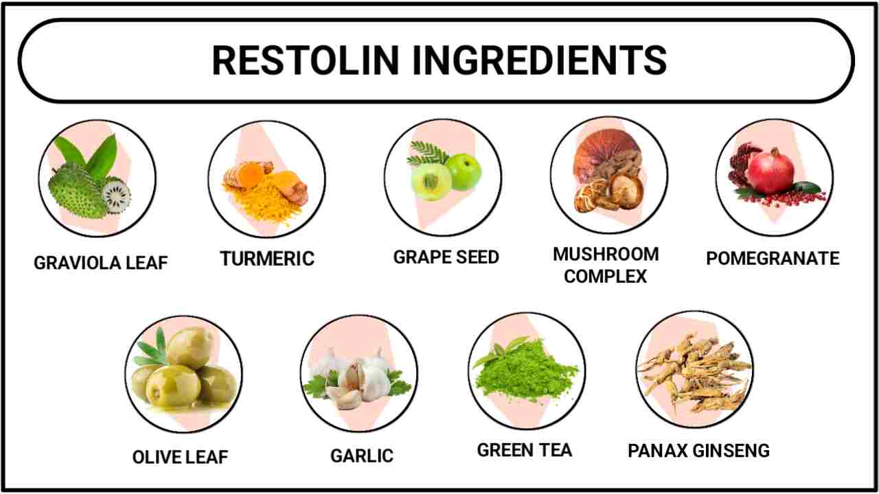 Restolin Ingredients