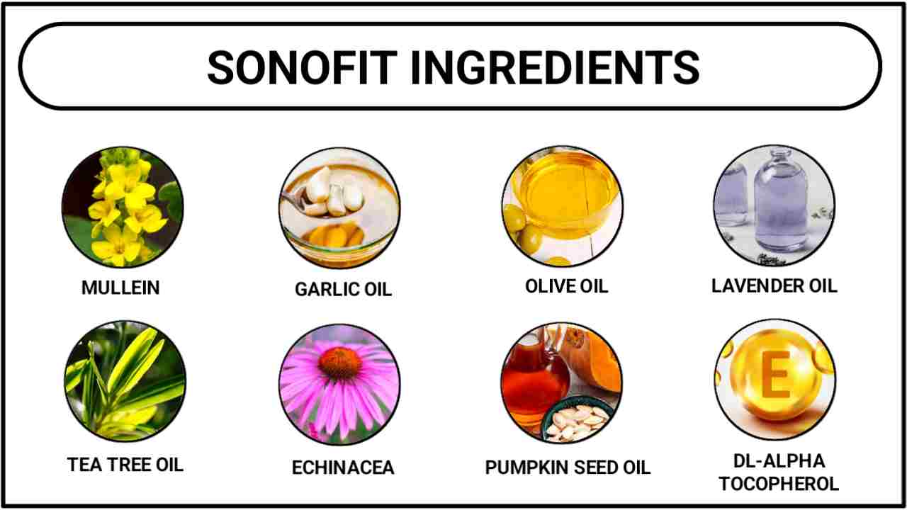 Sonofit Ingredients