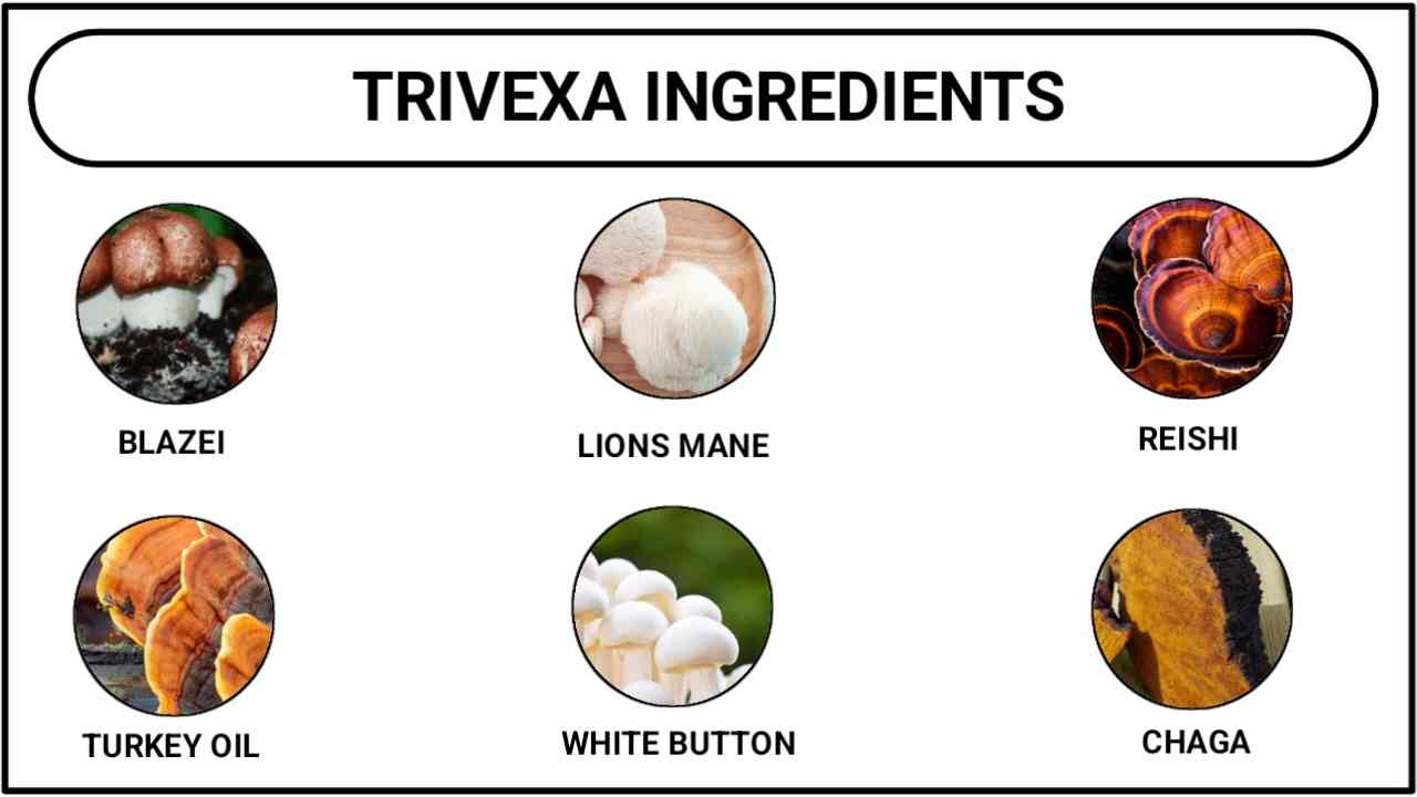 Trivexa Ingredients