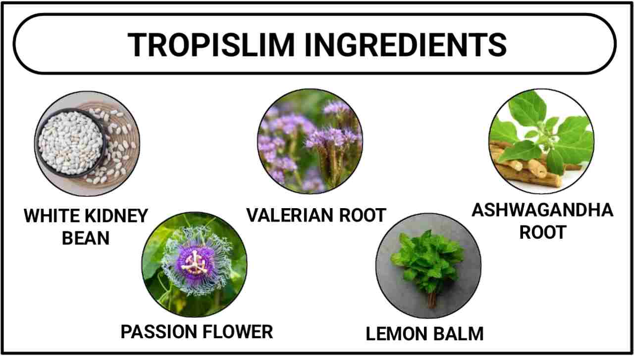 Tropislim Ingredients