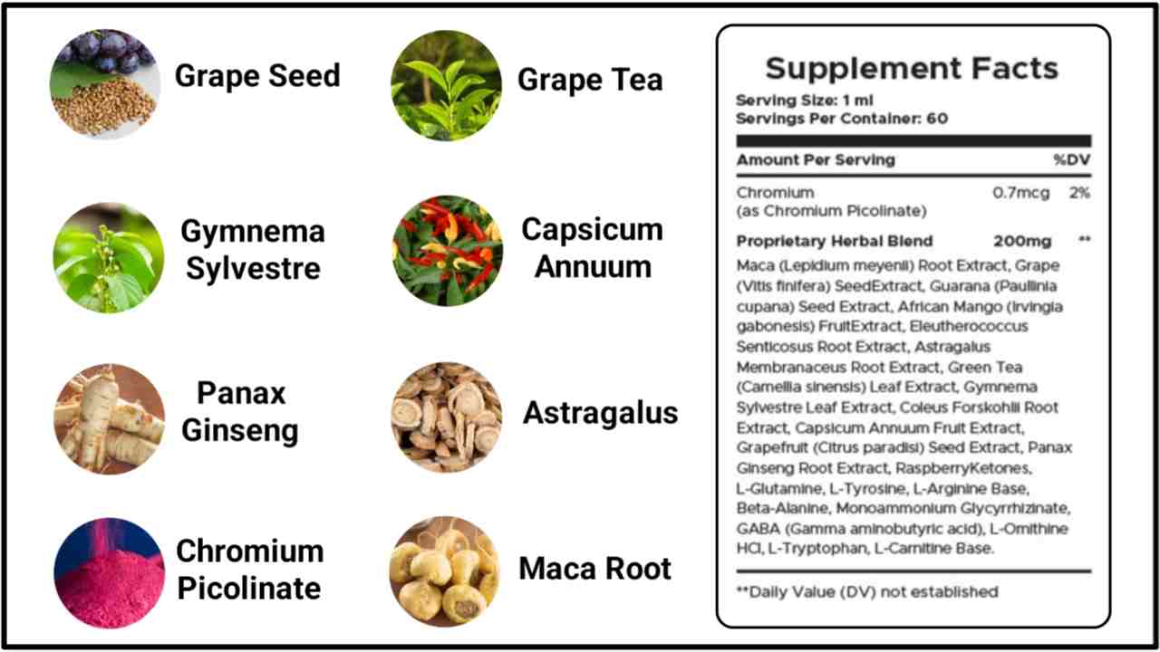 ingredients of cortexi