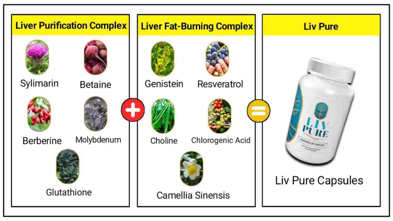 Liv Pure Reviews: Ingredients of Liv-Pure