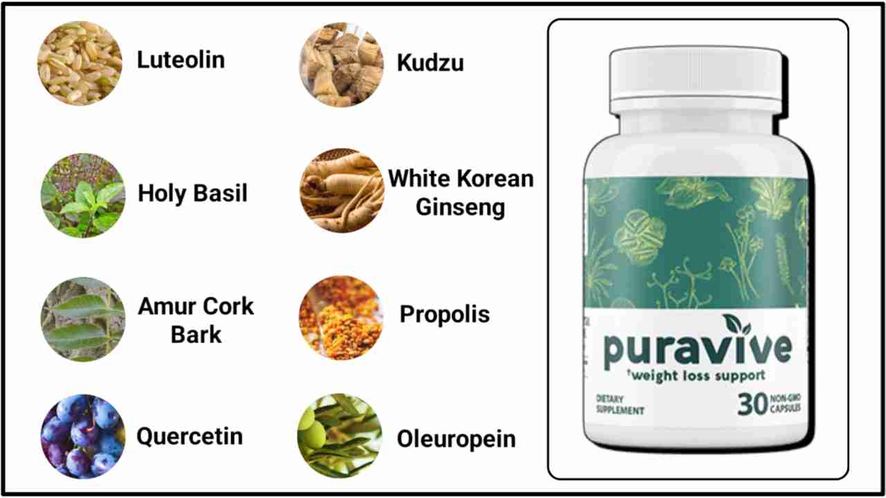ingredients of puravive